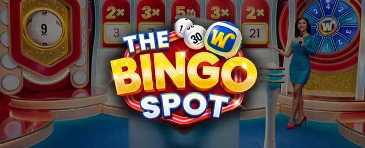 The Bingo Spot