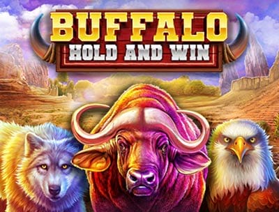 Buffalo Hold And Win