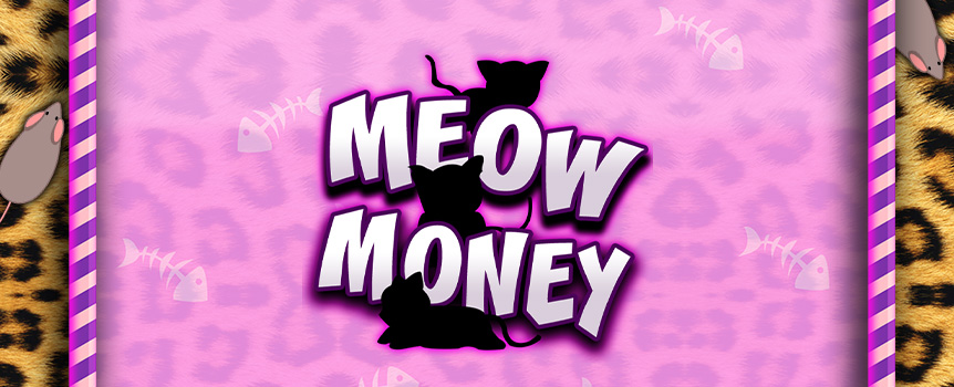 It doesn’t matter whether you are a Cat person or a Dog person in real life - everyone can enjoy this online Feline pokie that offers you a chance to score huge Payouts! 