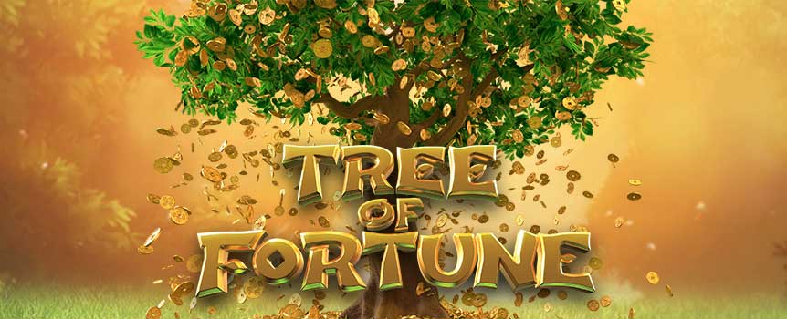 Legend has it that a farmer was granted a seed from a deity. He was instructed to water the seed with his perspiration over a consecutive of forty-nine days for the tree to come to fruition.The farmer did as he was told and soon enough, the tree grew into a full blossom, bearing pockets of gold ingots. Tales of this gilded tree spread amongst the folks and realize the saying of ‘Hard work does pay off’. During Lunar New Year, people hang red packets on tangerine tree as an emblem of good fortune. Be rewarded with free spins when Red Packets is fully bloomed on the Fortune Tree. Stand a chance to win big from the Bonus Feature as the Fortune Tree promises big rewards with every shake. What lies behind each Golden Packet in the Bonus Feature may turn your luck around! Don't hold back from this majestic tree as it presents itself in this 30 lines title.