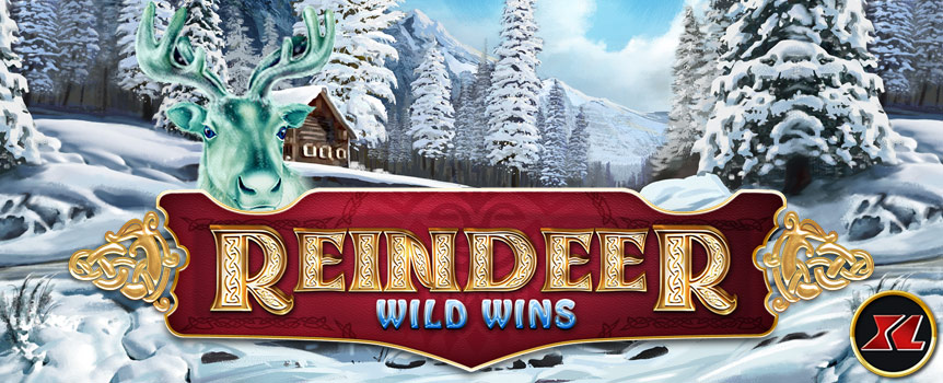Play the Reindeer Wild Wins XL pokie at Joe Fortune.
