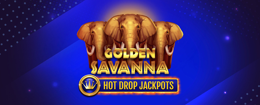Play Golden Savanna Hot Drop Jackpots today. This 4 Row, 6 Reel, 4,096 Payline pokie offers Prizes up to 3,125x your stake and 3 different Jackpots!